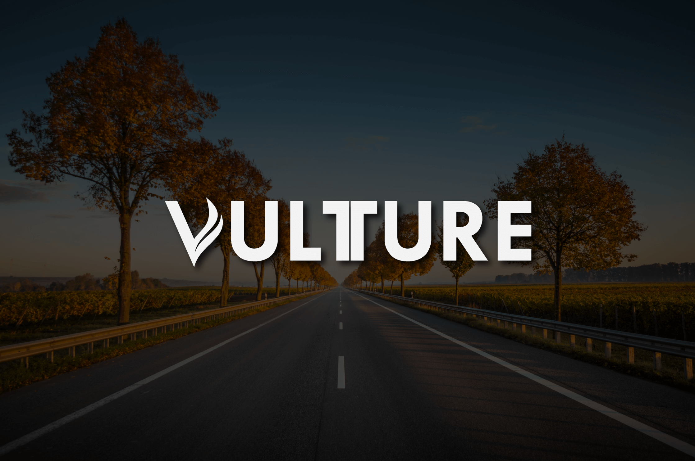 Vultture App Branding